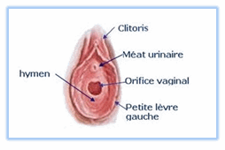 comment savoir si j hymen intact