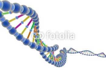 Adn