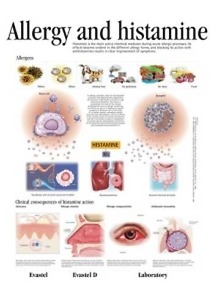 Allergie histamine - Savoir.fr