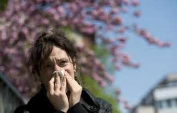 Allergie pollution