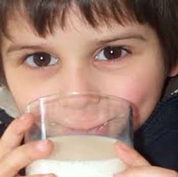Allergie proteine lait vache
