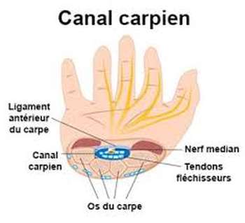 Canal carpien symptomes