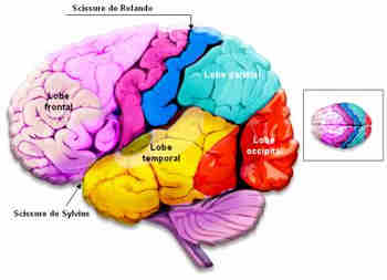 Epilepsie