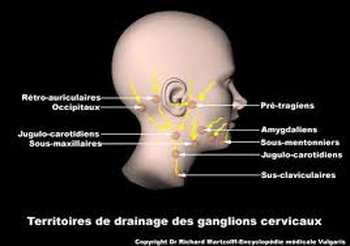 Ganglion cervical