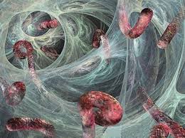 Infection virus