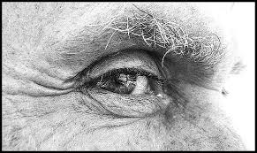 L'oeil