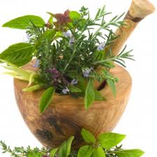 La phytothérapie