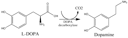 L-DOPA