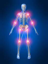 Les articulations