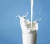 L'intolérance aux protéines du lait de vache
