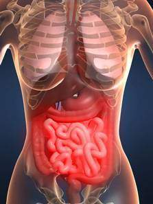 Maladie de Crohn