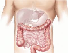 Maladie de crohn symptomes