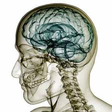 Maladie neurologique