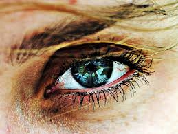 Maladie yeux