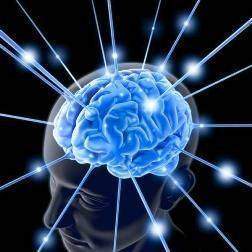 Maladies neurologiques