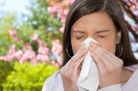 Rhinite allergie