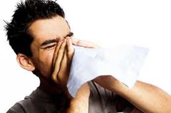 Allergie 2008