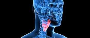 Thyroidien