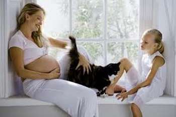 Toxoplasmose et grossesse