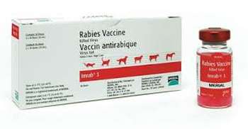 Vaccin antirabique