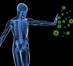 Maladie auto-immune