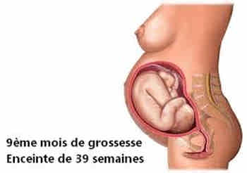 Enceinte 9 mois