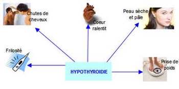 Cholestérol triglycéride
