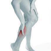 Elongation