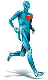 Sport et coeur