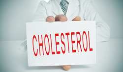 Taux cholestérol