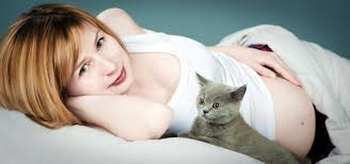 Symptomes toxoplasmose