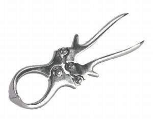 La castration