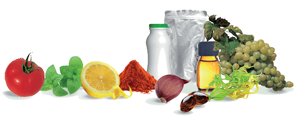 L’alimentation et les compléments alimentaires