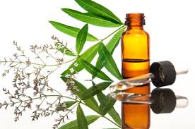 La phytothérapie rénovée :Les produits de gemmothérapie