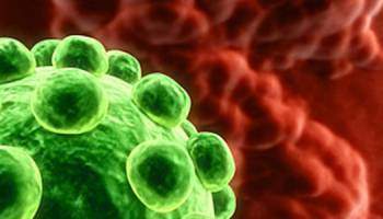 Le corps anticancer : L’énergie du combat
