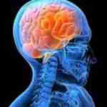 Le mental Anticancer : Le « cerveau circulant » de la psycho-neuro-immunologie