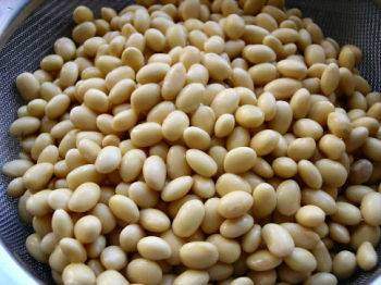 Les aliments anticancer : Le soja bloque les hormones dangereuses