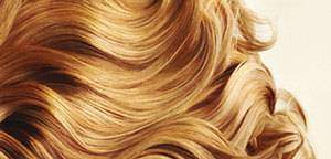 Les cheveux