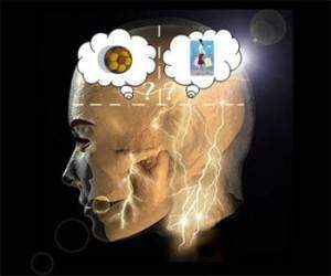 Cerveau sexe et politique