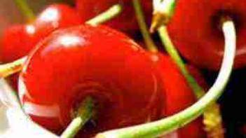 Les anti-oxydants: la taurine, polyphénols et flavonoïdes