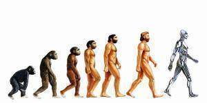 Quelle trace de l’évolution dans nos comportements?