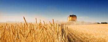 Une offre alimentaire avec une logique de production industrielle