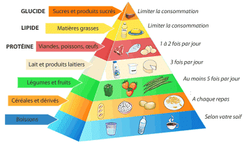 Adapter l'alimentation aux besions de l'homme