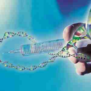Le corps anticancer : Accompagner les forces de vie