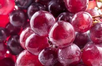 Anticancer, Danger et opportunité : Devenir « patient »