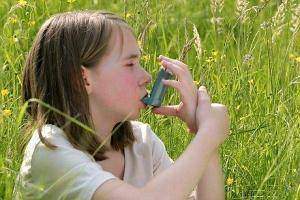 L'asthmatique et les pollens