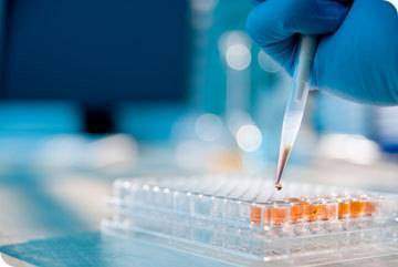 Le mental Anticancer : Le désir de vivre et les cellules immunitaires