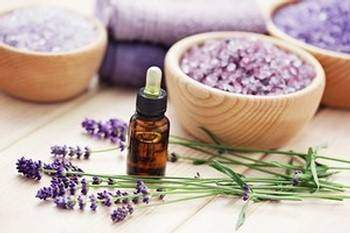 Les vertus de la Lavande : Lavandula officinalis