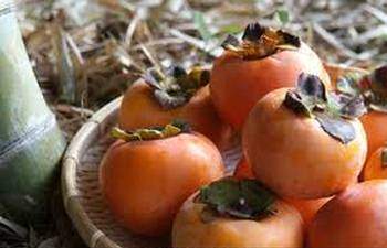 Le kaki Diospyros kaki: propriétés médicinales