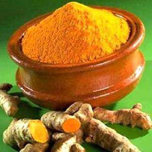Propriétés médicinales du curcuma, Curcuma longa: